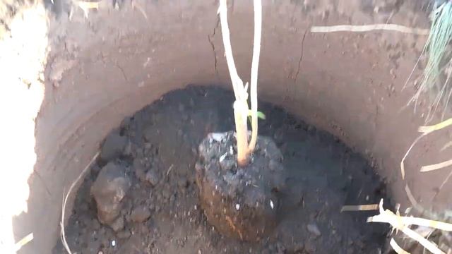02.10.2024 Новости района