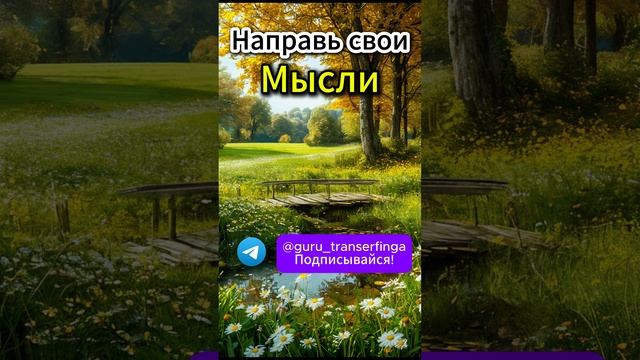 Направь свои мысли в нужное русло #трансерфинг #психолошия #вадимзеланд