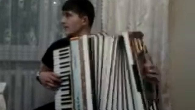 Ленинград "зуб золотой" cover