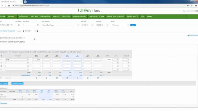 Weekly Timesheet for Team Members Part I (Access & View)