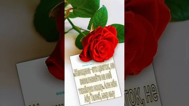 VID-20241101-WA0002.mp4