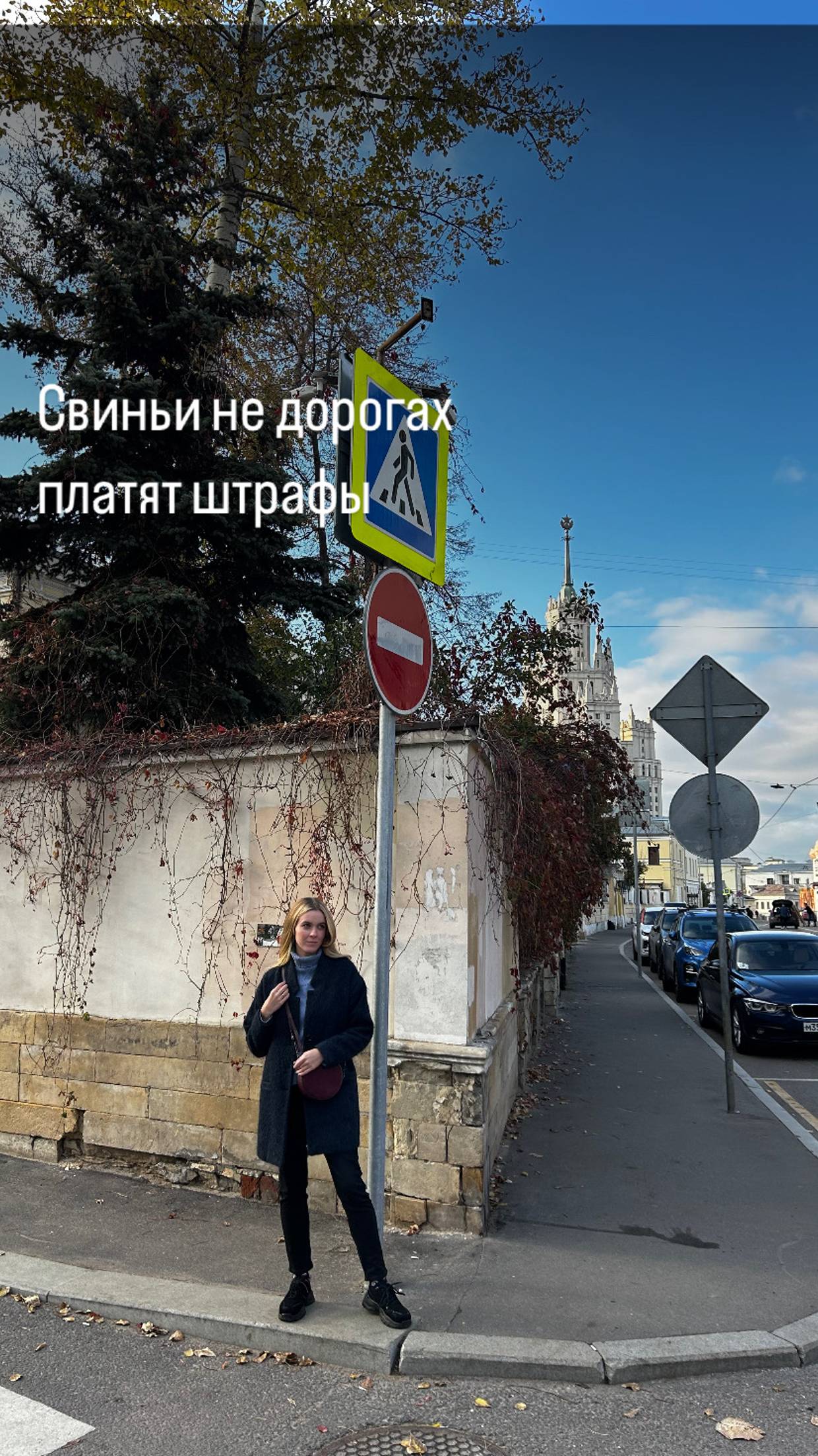 Свиньи на дорогах платят штрафы