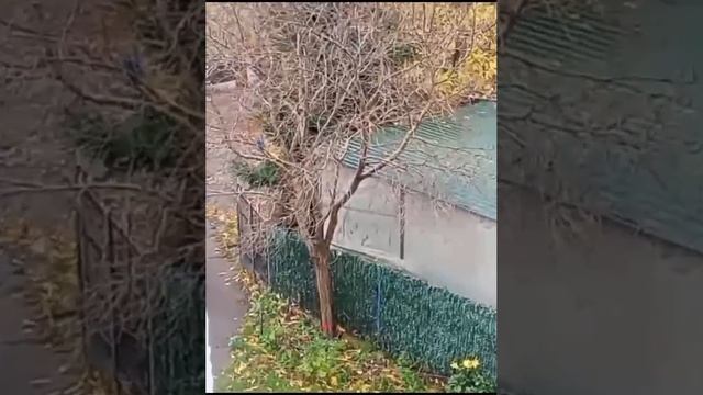 Квартира вместе с землей в 2 сотки!