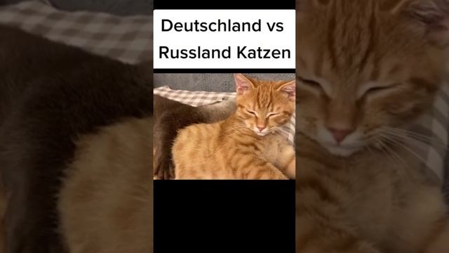 #deutschland #russia #spaß #witzig #shorts #humor #funny #funnyvideo #trending #travel #viral