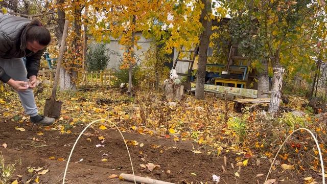 Жизнь кипит дел полно в саду