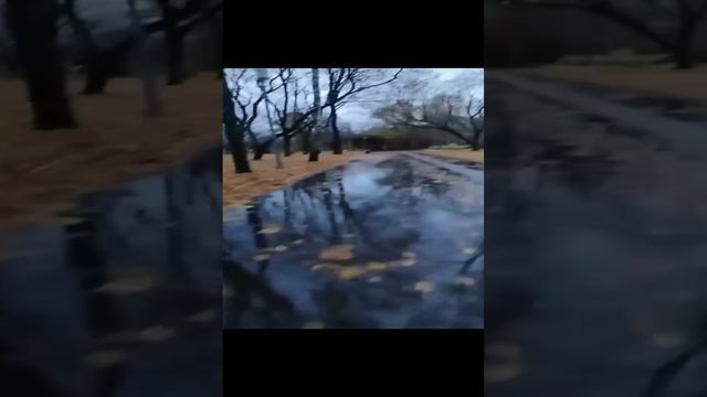 1000030547.mp4