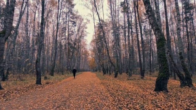 музыка для релакса НОВЫЙ ФОРМАТ
