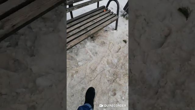 Прогулка, реальная жизнь.