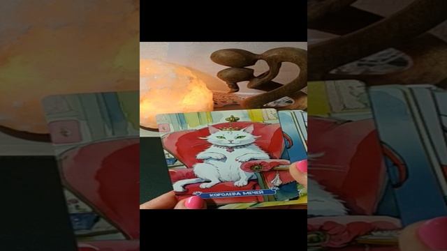 КОТИКИ ТАРОГРАДА. ОБЗОР КОЛОДЫ. таро
