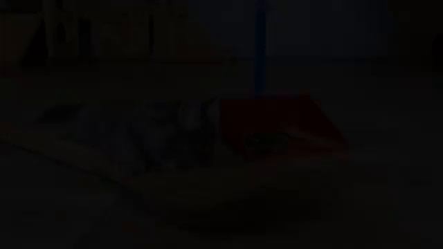 скулбой рановэй