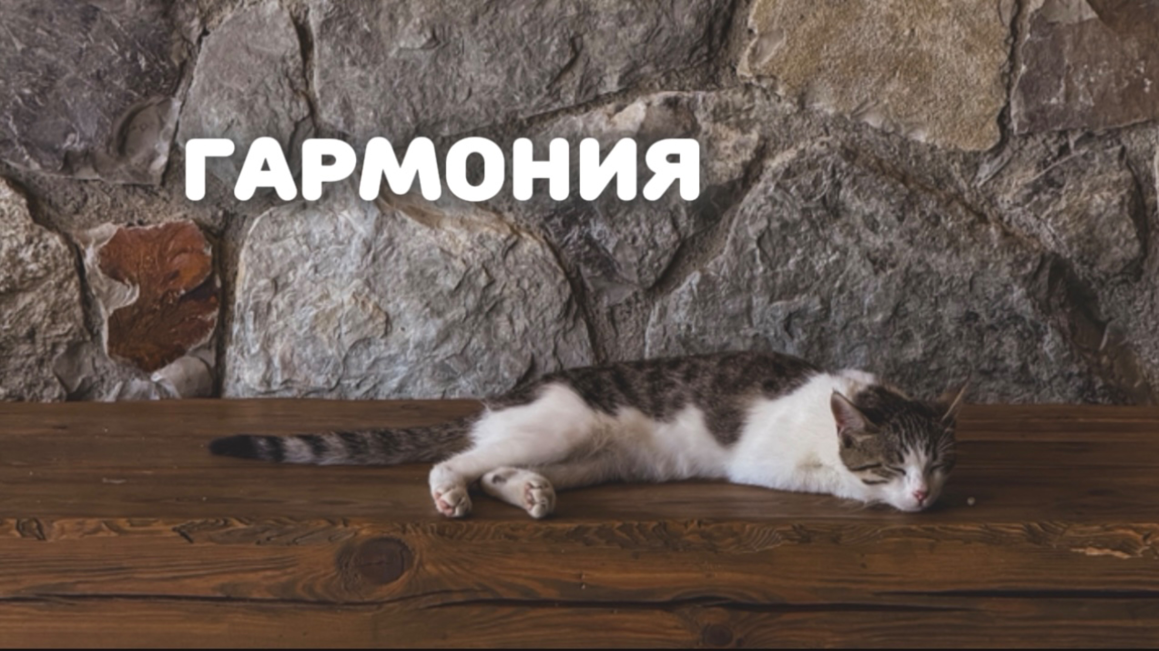 Гармония и дисгармония. Реакция мира на твое состояние.