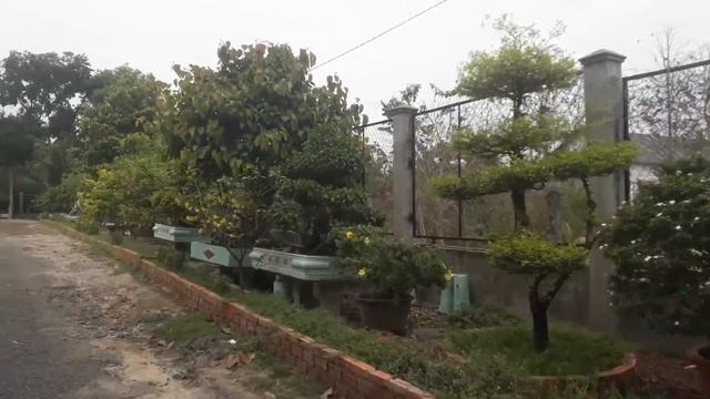 chùa thanh Quang tại xã tân khai hớn quản bình phước