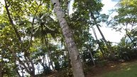 12 Воображение и Катха Упанишада с Доктор Перч