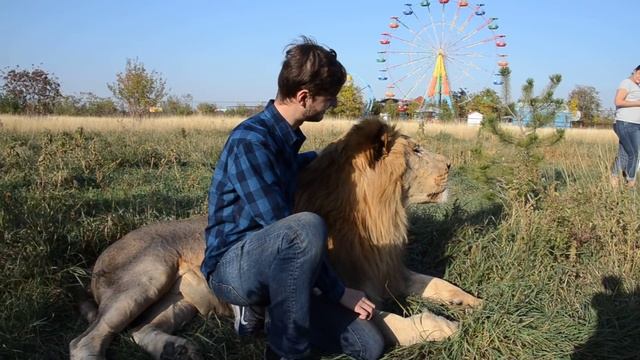 Вожак Чук в прекрсном расположении духа !