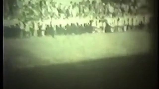 Школьная пора