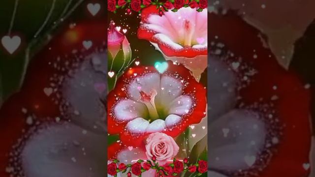 Video.Guru_20241101_090906802.mp4