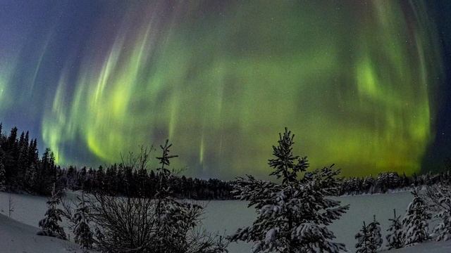 Здесь опять Звёздный дождь
скрыт от взглядов вуалью Авроры.