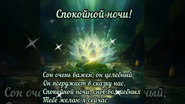 Спокойной ночи 🌙