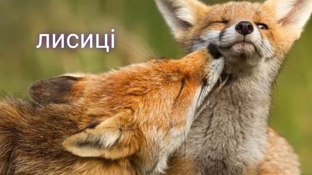 дитина у природньому довкіллі "Сім'ї у природі"