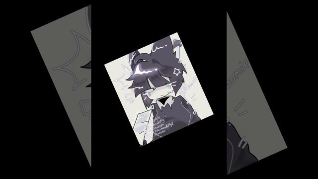 1000003992.mp4