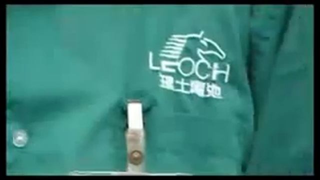 Leoch International introduction