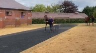 Tattersalls August sale purchase: End Zone profile (Roger Fell)