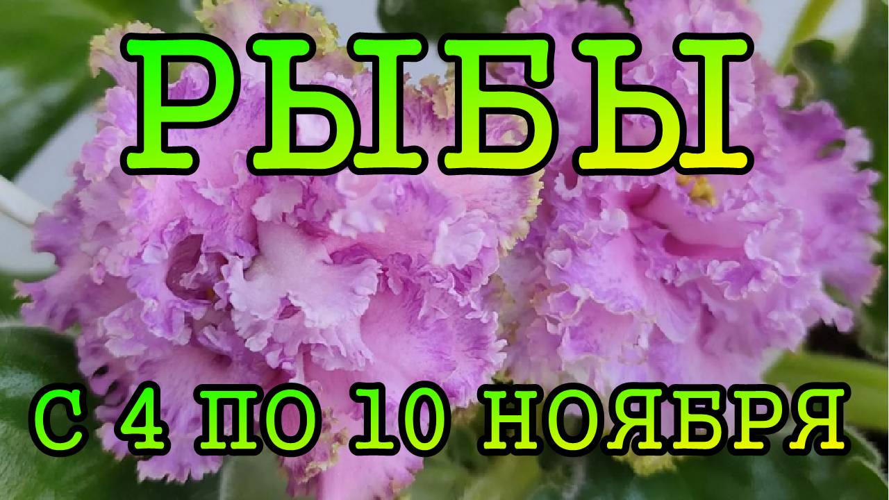 РЫБЫ таро прогноз на неделю с 4 по 10 НОЯБРЯ 2024 года.