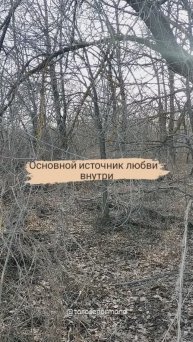 Основной источник любви - внутри
В других его нет❤️
#любовь#гармония#саморазвитие
t.me/tarot_healing