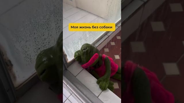 Жизнь без собаки