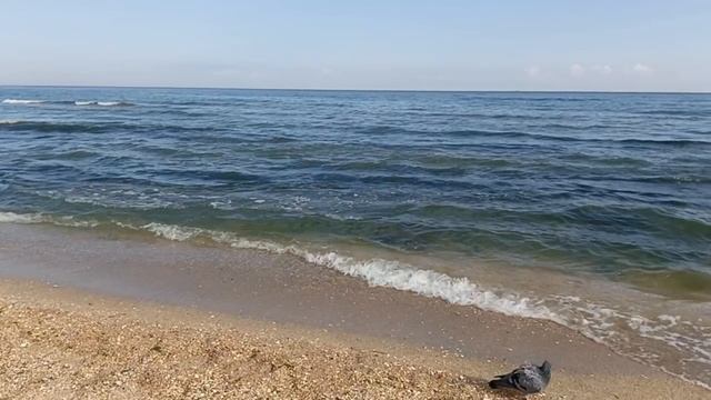 МАХАЧКАЛА ГОРОДСКОЙ ПЛЯЖ 🌊 #махачкала #reels #shorts #дагестан