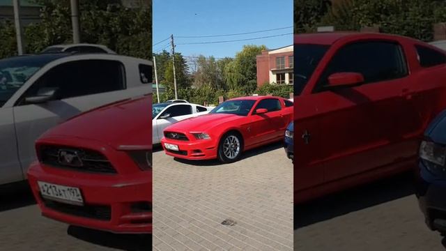 Ford Mustang Cars