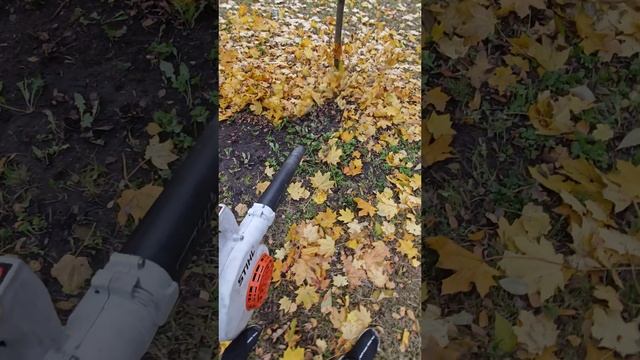Воздуходувка Stihl Bg 50 vs тяжелая листва