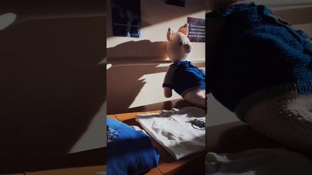 знакомство с СС ЮФ