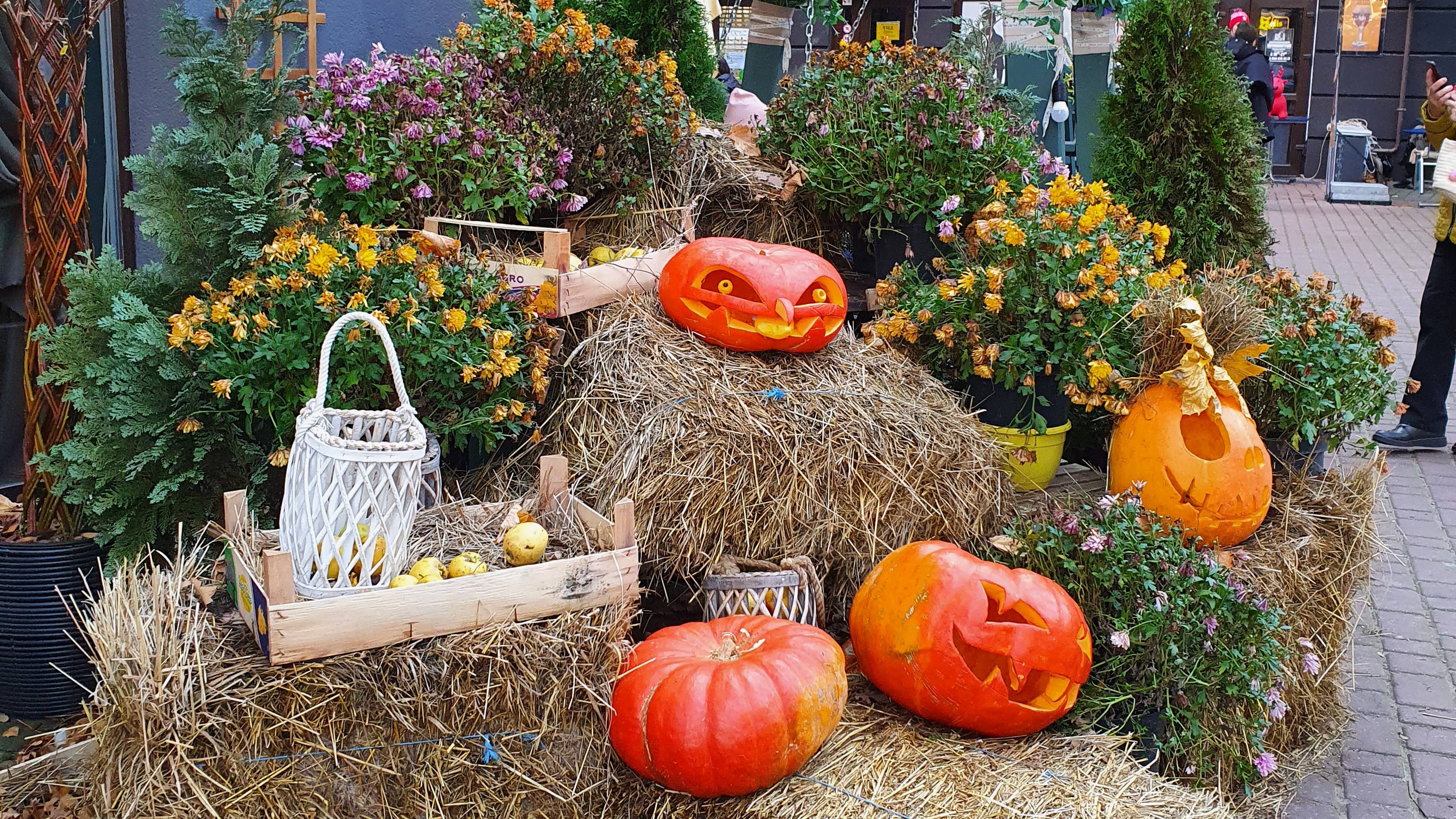 🌞Одно из самых красивых времен года в Калининградской области – осень.🍁🍃🌻