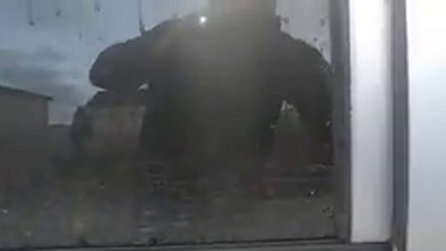 С Новым Годом 2018!!! Всех Вас поздравляю Я и моя Лада Гранта!!!
