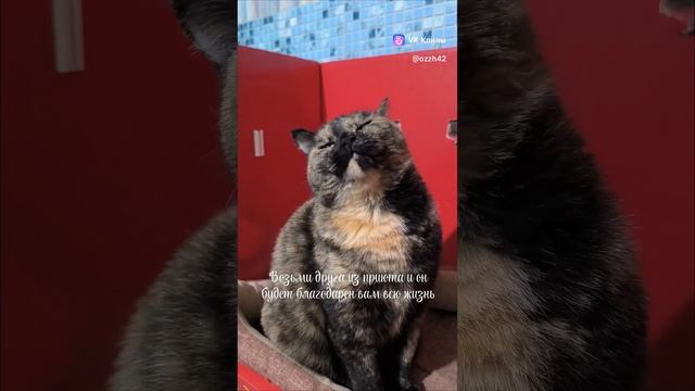 Нэнси.mp4