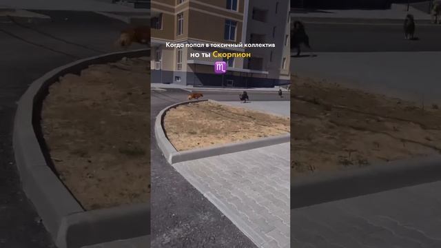 Хочешь узнать больше фактов о своем знаке зодиака?
Подписывайся ✨