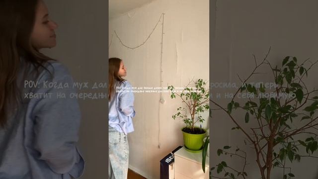 Я не попрашайка, свои деньги есть. И опять с открытым пузом. Все стабильно  #беременность