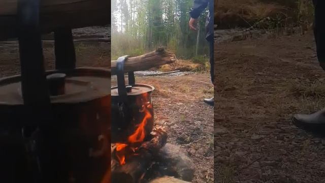 #siberia #nature #hunter #lake #travel #fishing #adventure #automobile #offroad #бигль #ягдтерьер