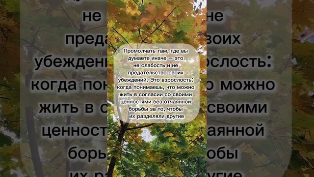 Невероятно важная цитата из книги «к себе нежно» #психология #цитаты #развитие #книги #отношения