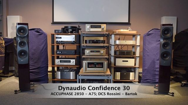 Dynaudio - Dynaudio Confidence 30 [HIGH END AUDIO] TEST №1