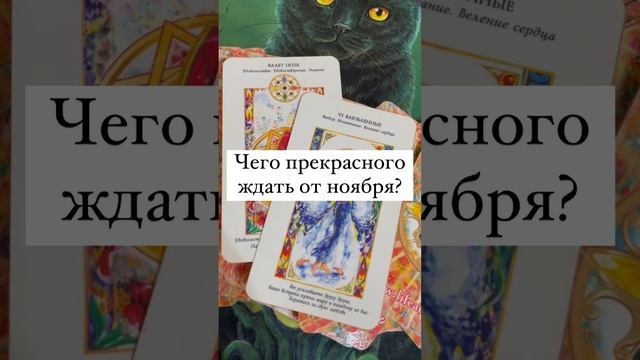 Чего прекрасного ждать от ноября?