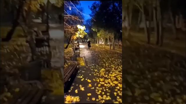 Осенняя🍁 прогулка по парку Липки . Саратов . 31.10.24