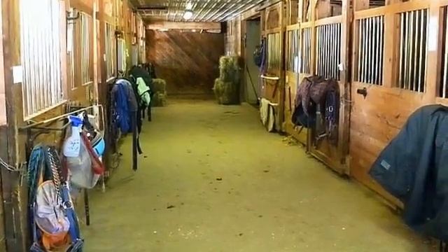 Homes for Sale - 1877 VT Rte 105 Newport Town VT 05857 - Daniel Maclure