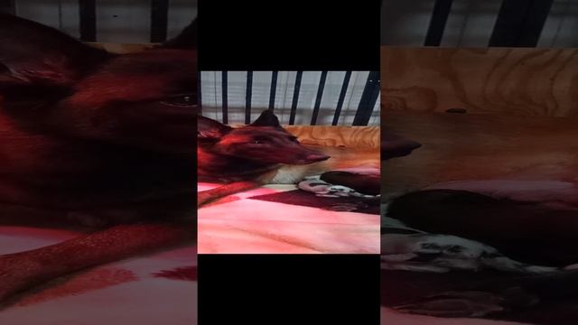 458bcdd6-c4cd-42e6-8ceb-24a1d530ac76-1_all_59151.mp4