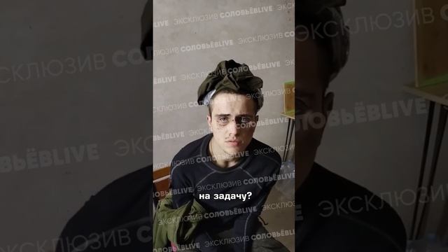 Киевский режим гонит мобилизованных на фронт