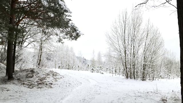 Вьюга. Слова А. Платонов.музыка и исполнение искусственный интеллект