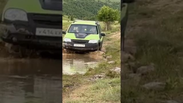 Импортные или отечественные?