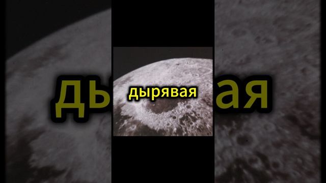 Лучшие волейболисты СМ