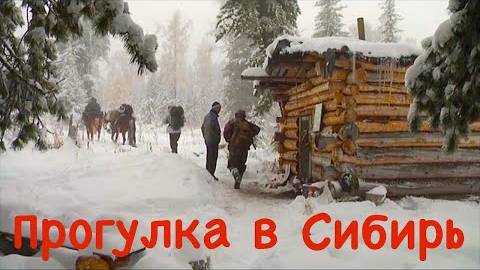 Прогулка в Сибирь.